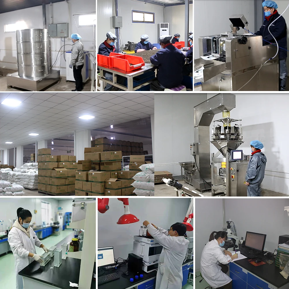 Продажа экстракта Angelica Sinensis натуральный Анжелика традиционные китайские лекарственные материалы порошок