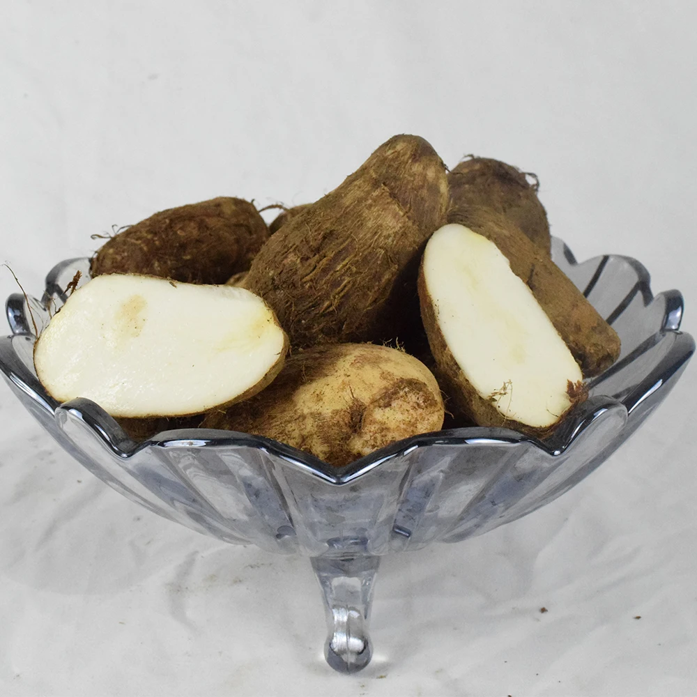 High Quality China Fresh Taro With Best Price