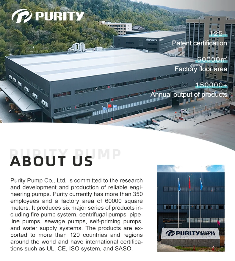 Standard PST 80-250/370 Centrifugal Electric Pump from PURITY