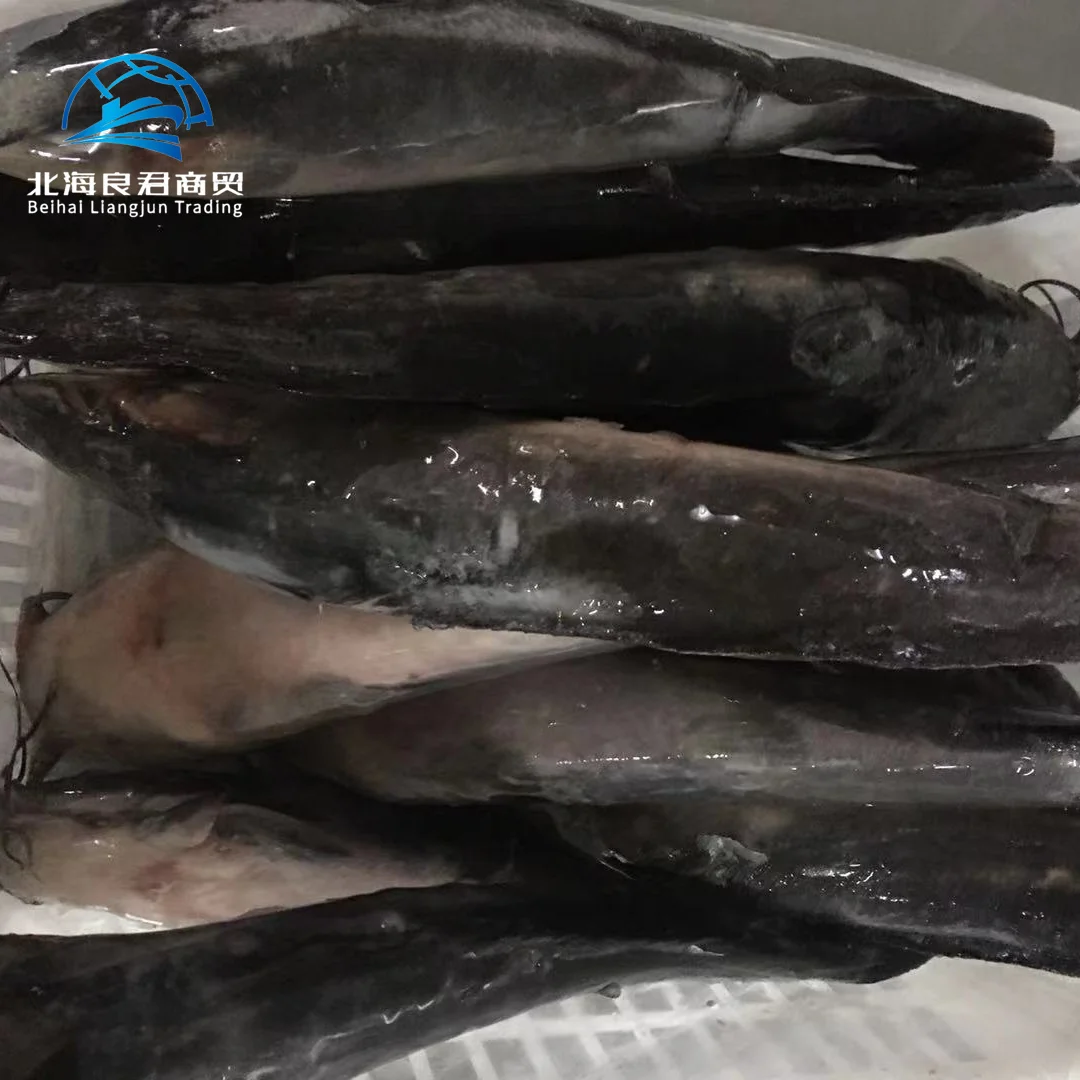 Wholesale supplier hot selling specialty natural seafood high-quality and healthy fresh frozen live catfish fish