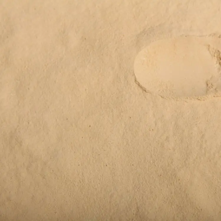 Professional Manufacturer Low Salt Additive Scallop Flavor Seasoning Powder For Food Seasoning