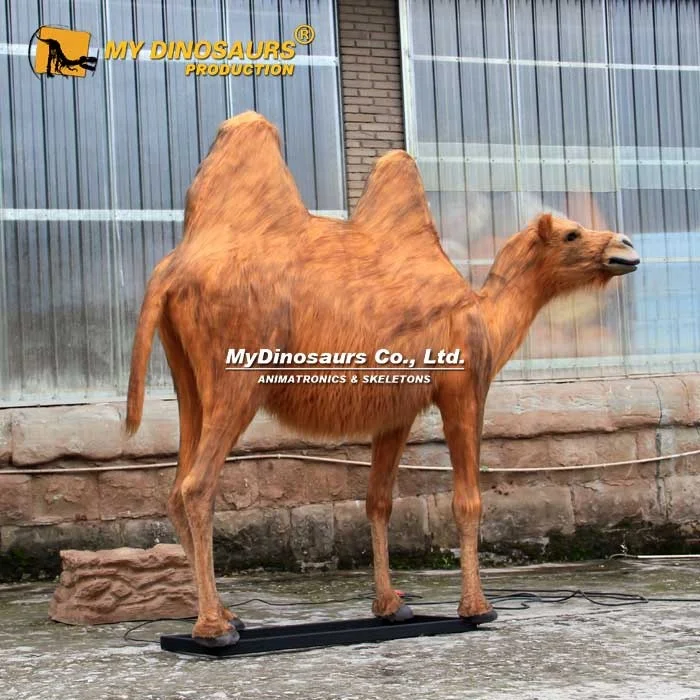 MyDino AA-020 Realistic Life Size Animatronic Camel in Alibaba