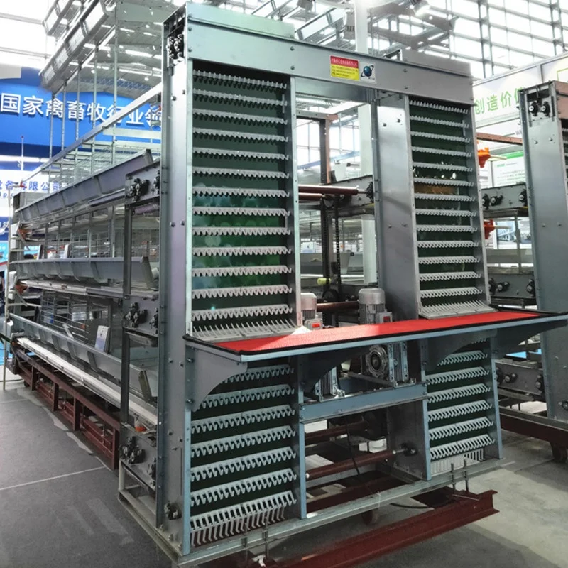 Zambia lusaka layer chicken farm poultry equipment battery cages laying hens