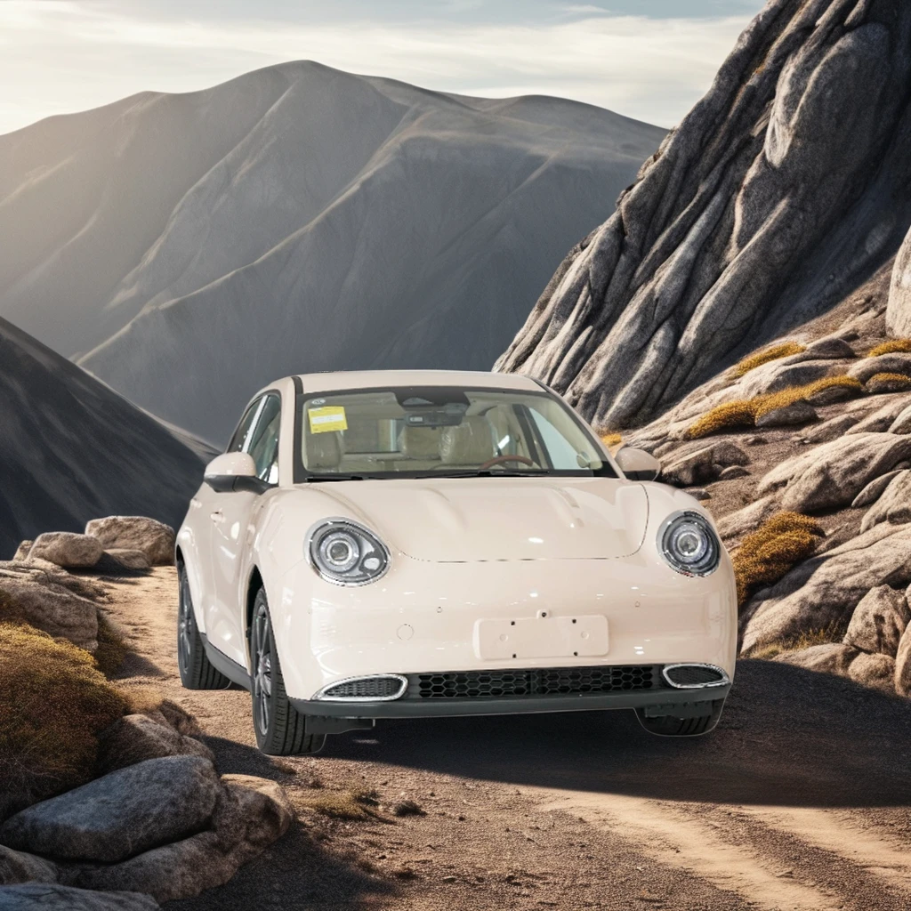 2025 хороший кот Новый энергетический мини-седан 4WD чистый электромобиль из Китая для рынка Невады