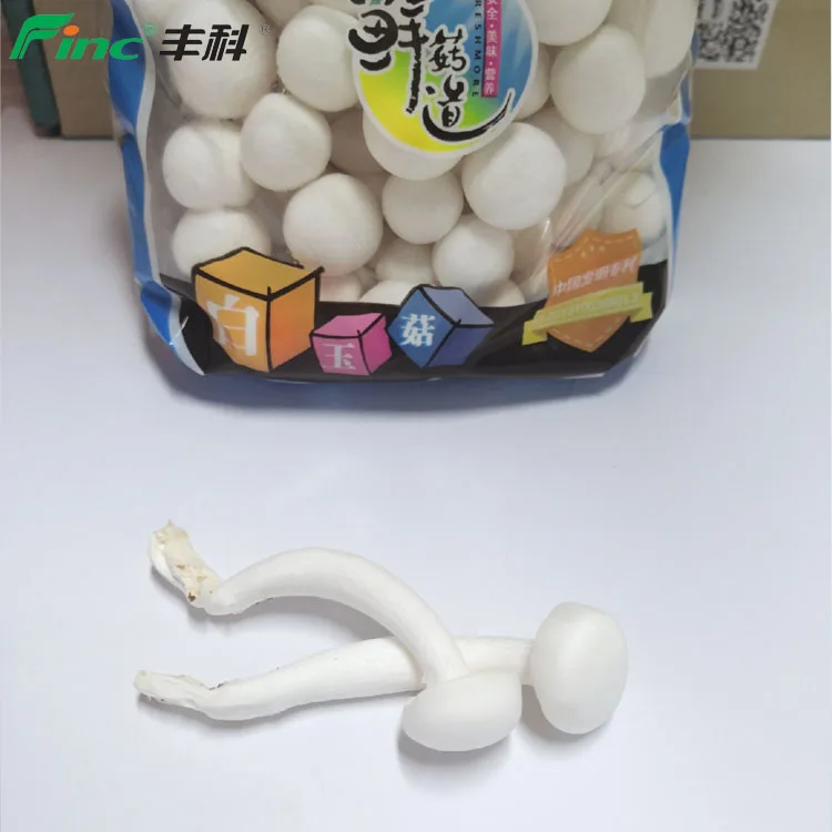 
2020 Growing Fresh Edible Mushrooms with GAP certificate 