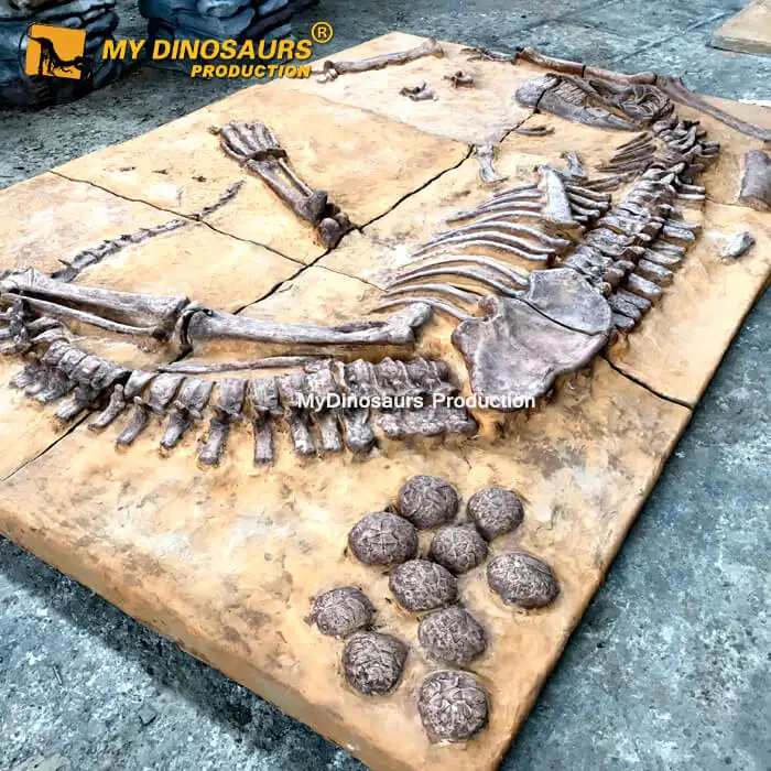  MY Dino DS078 ископаемая грунтовка динозавра