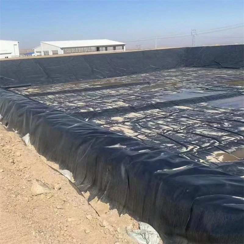 GM13 полиэтилен высокой плотности HDPE геомембрана лист креветки лайнер для рыбы плотина рыбной фермы пруд лайнеры