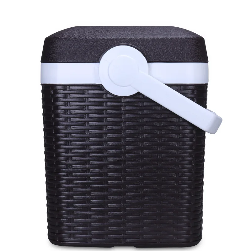 Gint best selling 15L 30L double wall plastic cooler box  insulated ice chest for hotel bar outdoor rattan material picnic bag