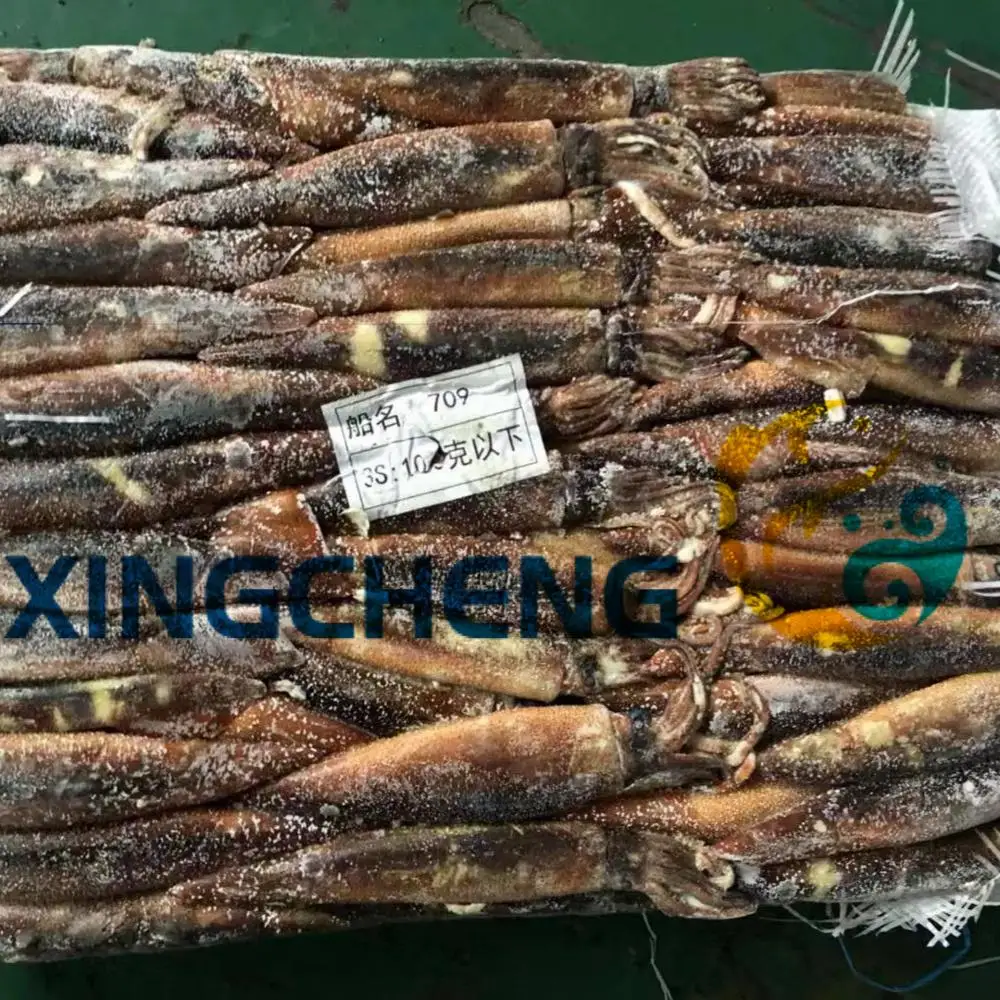 
Sea Frozen Illex squid Illex argentines 