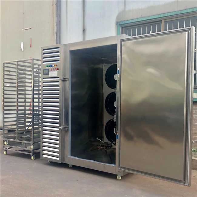 Meat Processing Blast Freezer - Industrial Strength & Rapid Cooling Cryogenic Freezer, Perfect for Delicate Foods.