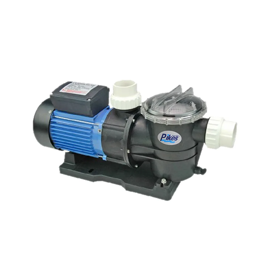 Swimming Pool Equipment Motor Pool Pump Price 0.75hp Small Pumps For Pool