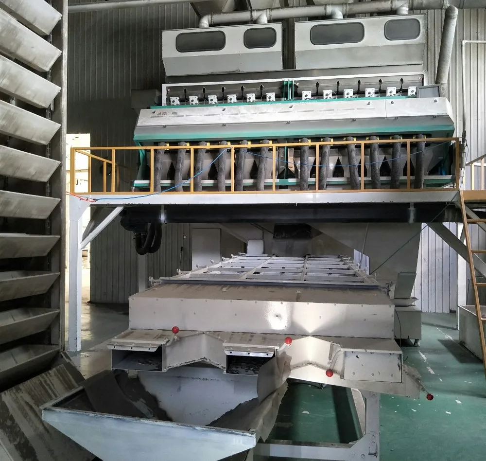 Online Wholesale High Quality Grade AA Shine Skin Pumpkin Seeds Kernels