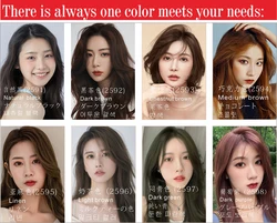 FULLY FastColor Mousse Hair Color Shampoo Dubai No.1 Hot Sales Black Hair Shampoo Herbal Hair Dye Shampoo Factory Price
