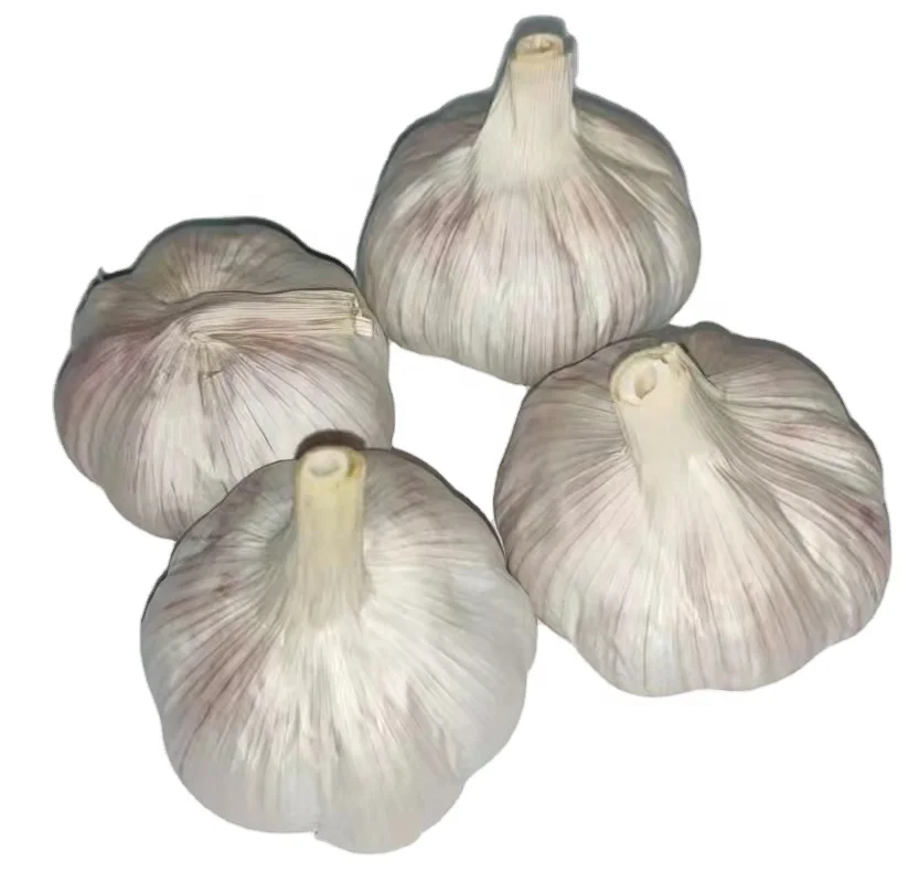Chinese fresh garlic 2021 new crop normal white garlic  pure white garlic