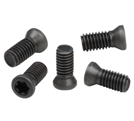 Made in China Torx Head Screw M2.5*6 torx screw