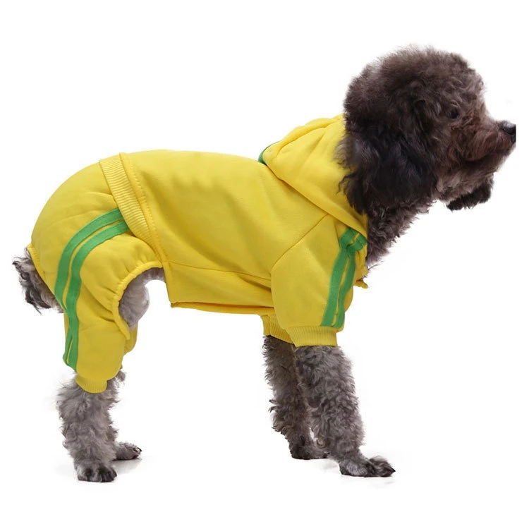 Modern Pet Apparel Winter Luxury Designer Dog Clothes Leisure Manufacturer Fashions Designer Dog Hoodie