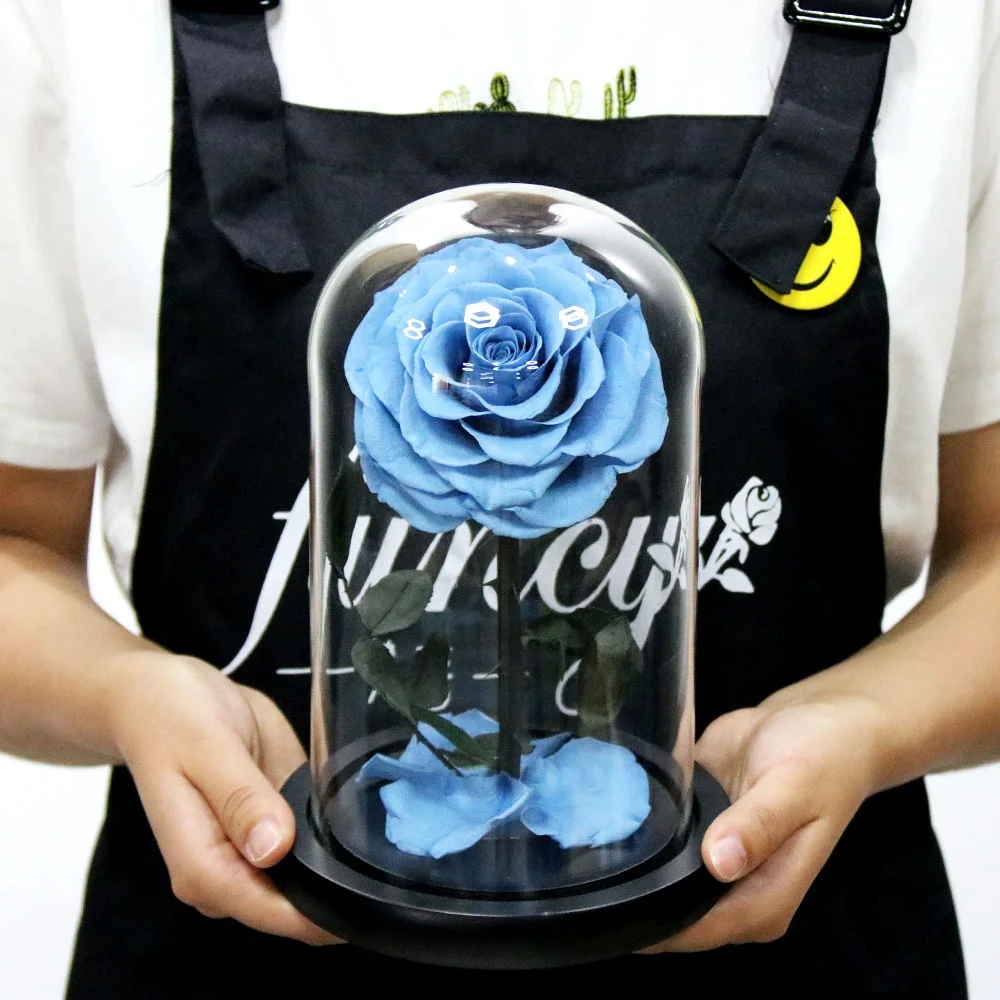 2019 Belle Enchanted Wholesale Preserved Roses Christmas Gifts Set Eternal Roses in Glass Dome