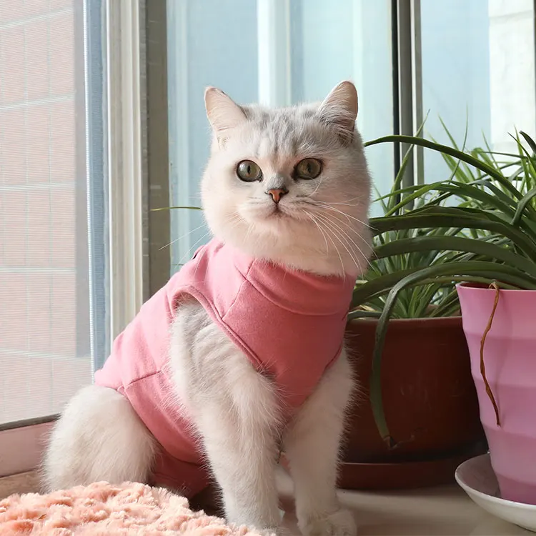 Maychan RECP Custom Scratch Prevent Soft Comfortable Cotton Pet Leisure Dog Cat Clothes