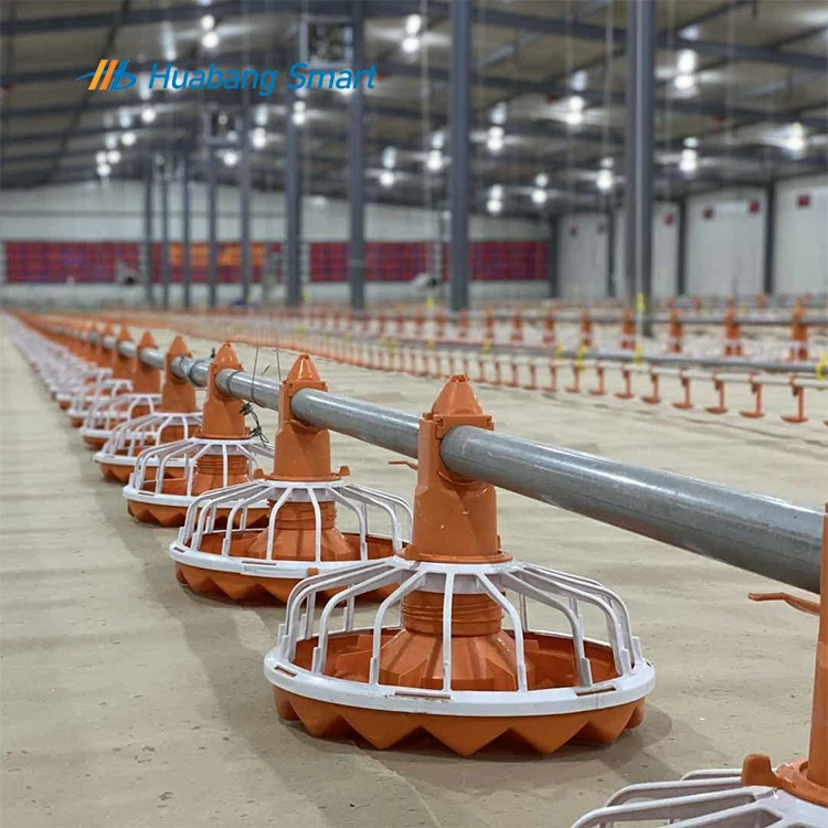 Automatic Feeder Poultry Feed Machine Layer Chickens Fully Auto Raising Equipment