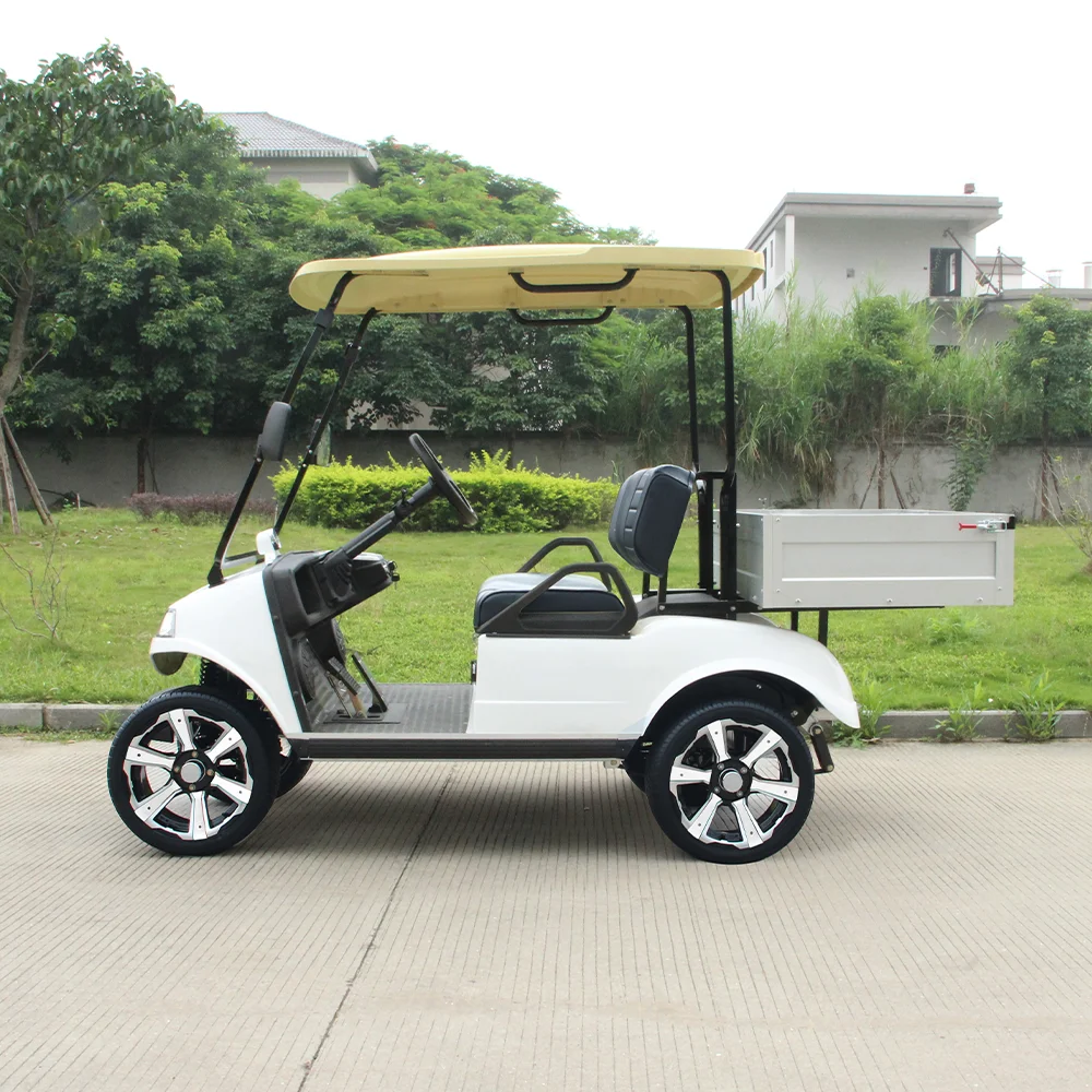 HDK Fast Electric Golf Buggy Cart Electrical Power Steering Off-road Scooter New Design Utility Vehicle 48V Beige Service Cart
