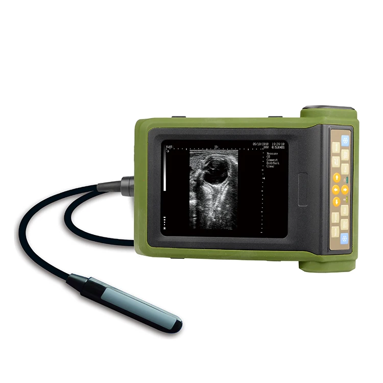Laptop Veterinary Ultrasound Scanner Handheld Ultrasound Advanced Imaging Technology Trusted Veterinary Ultrasound from China