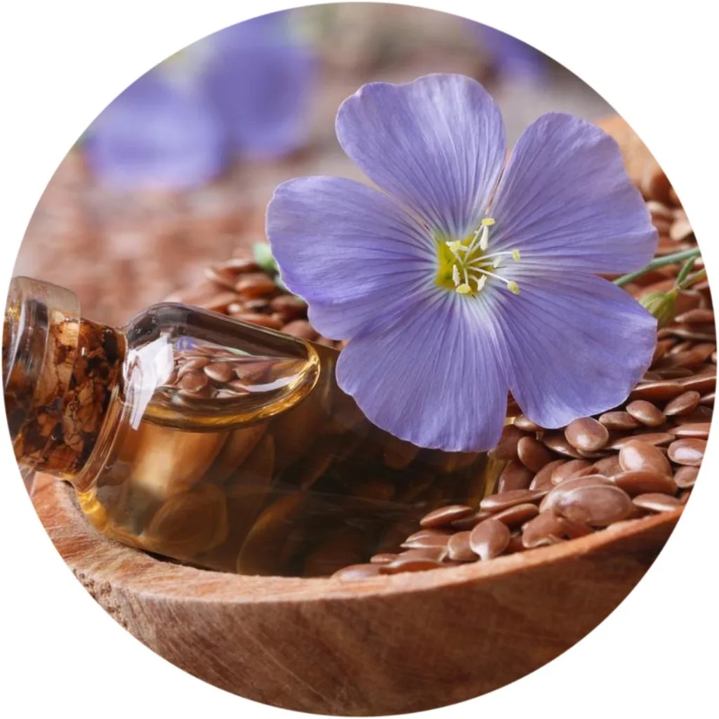 
Wholesales Linseed flax seed brown color flaxseed for oil 