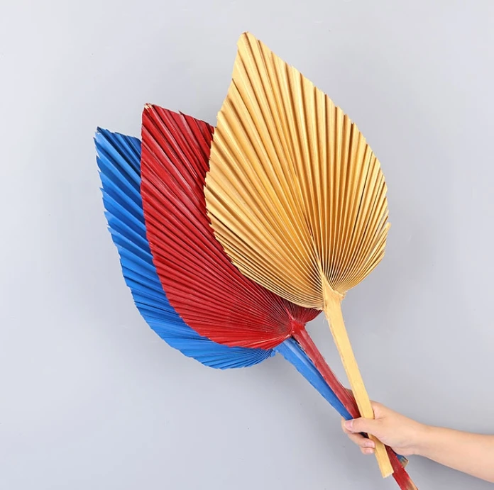 Palm Leaf Dandelion Fan Iron Leaf Eternal Life Flower Wedding Home Decorative Okra Spray Paint Dried Plants & Flowers