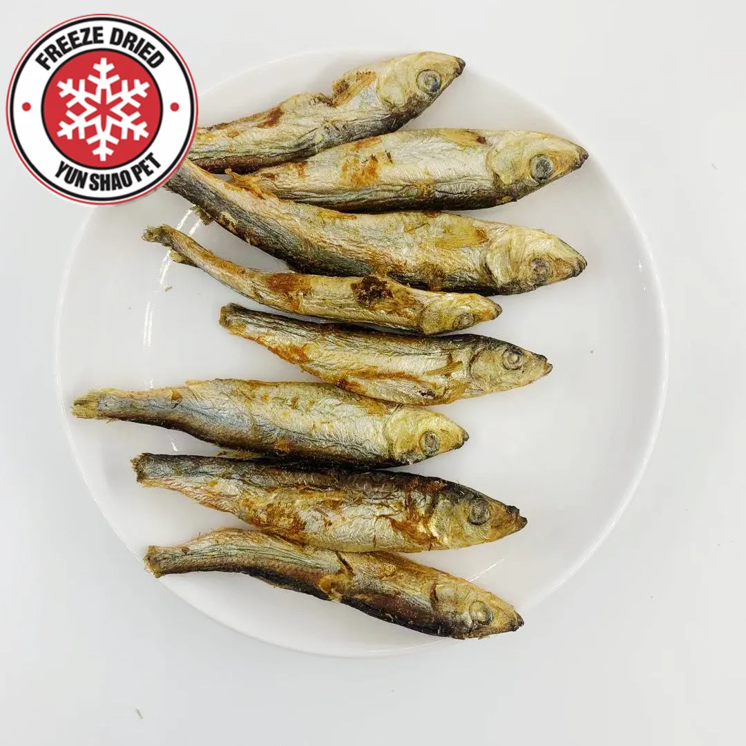 Top selling pet food  OEM box dog food freeze dried treats herring  fish
