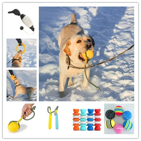 Original Factory Tough Biting Toy  Dog Training Balls Portable Dog Toys Manufacturer Hunting Dog Training Dummy