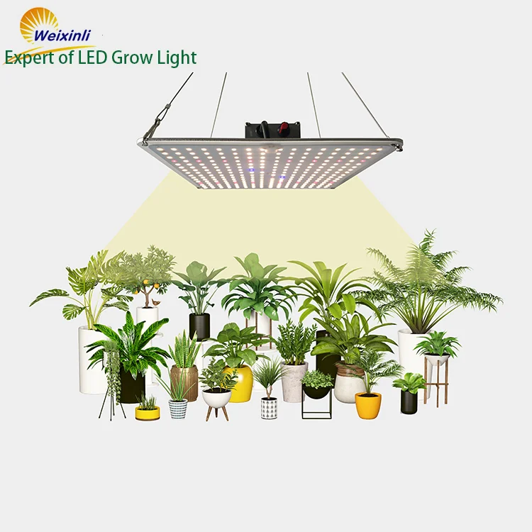 
SF1000 lm301h lm301b TOP Bin 120W Grow LED Light TS 1000 Dimmable Led Grow Light Full Spectrum with UV IR 