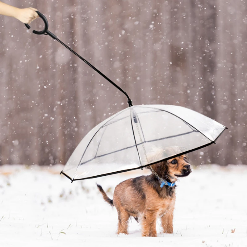 Outdoor Puppy Protector Rain Umbrella With Leash For Puppy Dog With Dog Chain