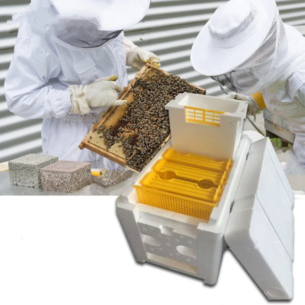 Beekeeping equipments updated version eps foam queen bee hive box