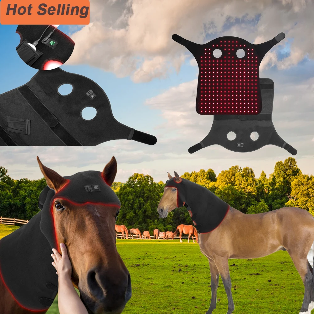 Professional custom 660nm 850nm horse therapy belt for equine pet pain belt wrap red light therapy horse head belt