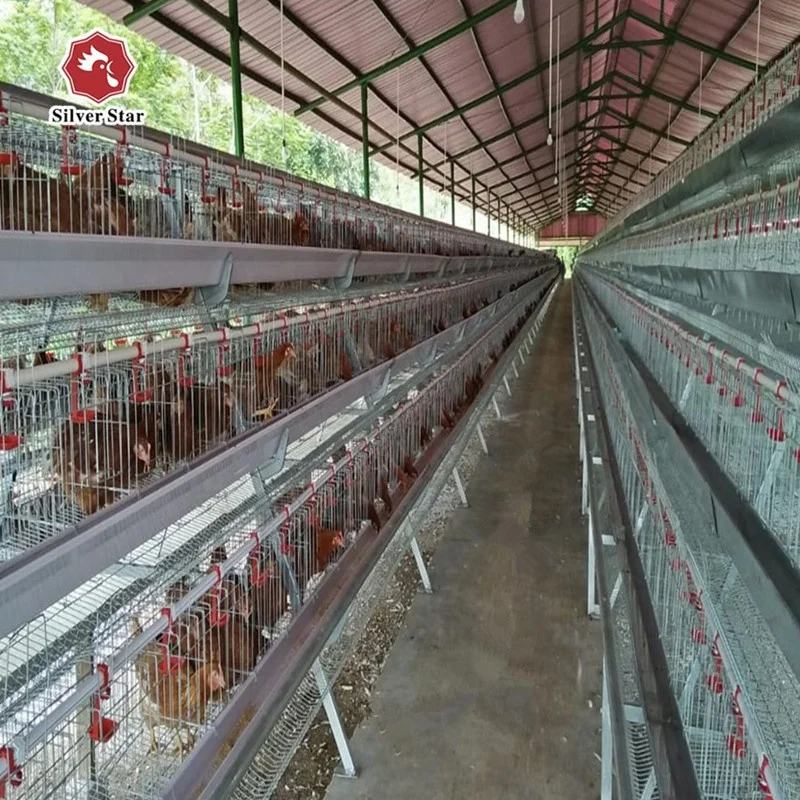 Cheap price poultry farming cage agricultural equipment for layer chicken