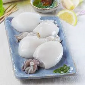 Hot sale Cuttlefish For Low Price