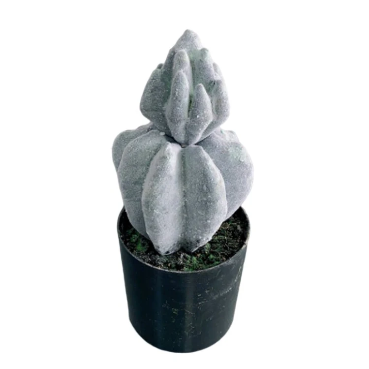 Artificial Barrel Simulation Cactus in Pots Green Plant Cactus Tree Plants for Store Hotel Shopping Mall Sale Tropical Greenery