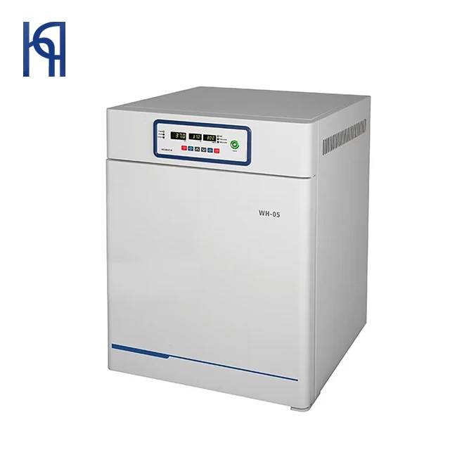 Laboratory Digital Constant Temperature Incubator WH-05