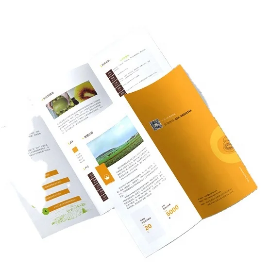 Wholesale Catalogue Brochure Printing Custom Design Logo Manual Instruction Book Printing Service in Low Price