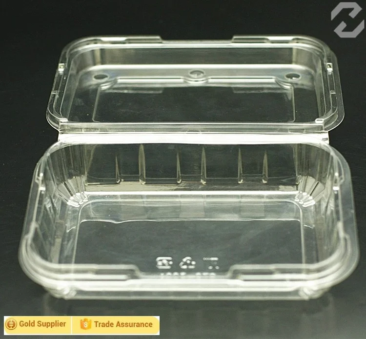 China supplier disposable plastic fruit container