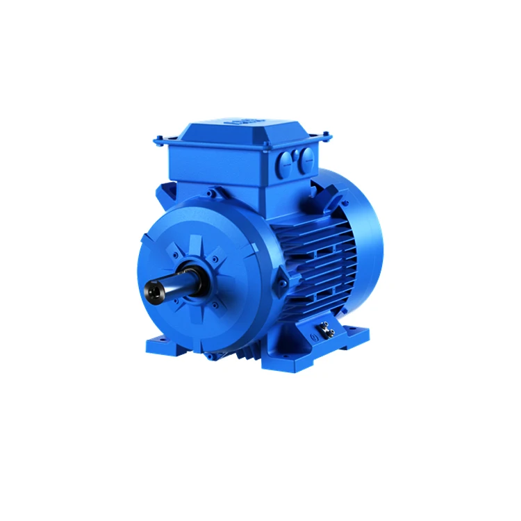 Premium Efficiency 22Kw Ie3 Machinery Industry Equipment Squirrel Cage 3 Phase Electric Motors