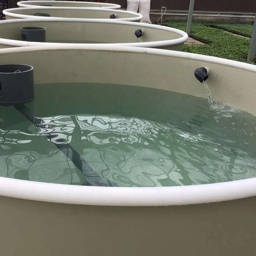 
large commercial fish tanks for fish farm 