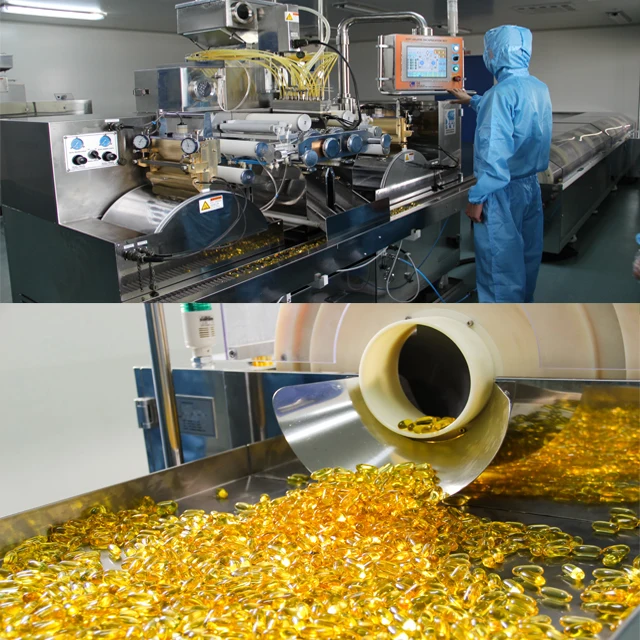 
HealthCare Supplements Anti Cancer Improved Immunity Supplement Garlic Oil Softgel with Allicin 