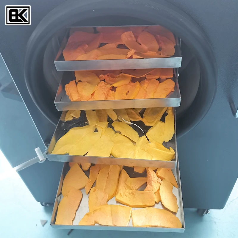 Reasonable Price freeze dried instant tea longan radish juice powder cabbage fruit potato mini home freeze drying machine//