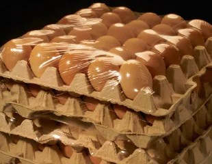 Logo-customized POF Micro-Perforated shrink film and bags, for eggs & outside package