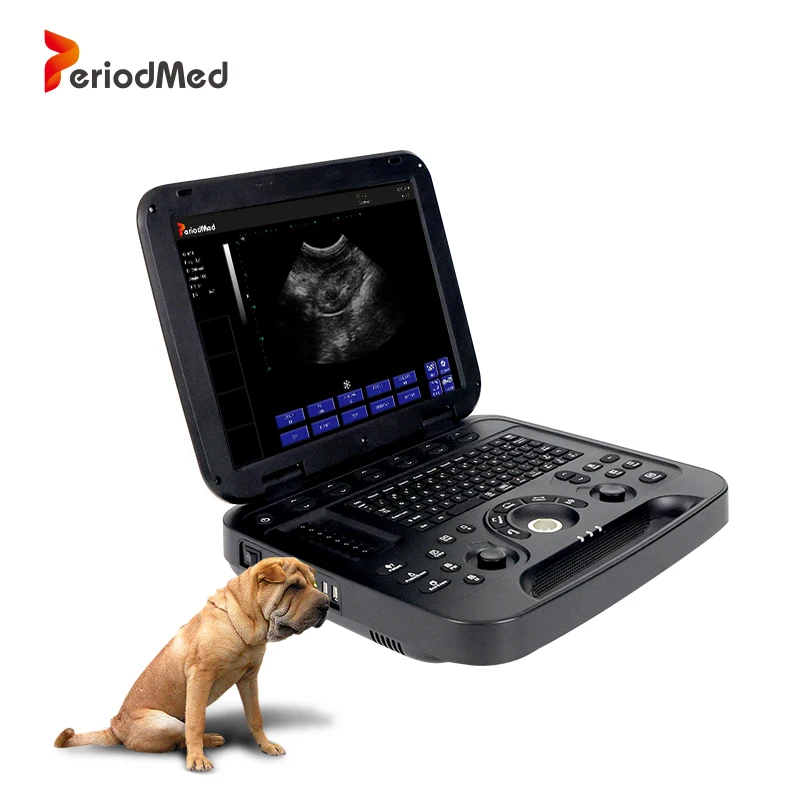 Periodmed pet hospital ultrasound veterinary low cost portable ultrasound scanner