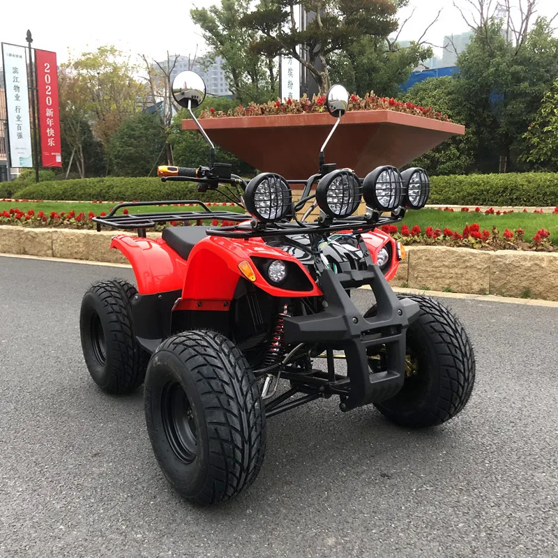  Местности внедорожный ATV ось привода 48V750W Электрический квадроцикл все 500 - 800W автоматический вал