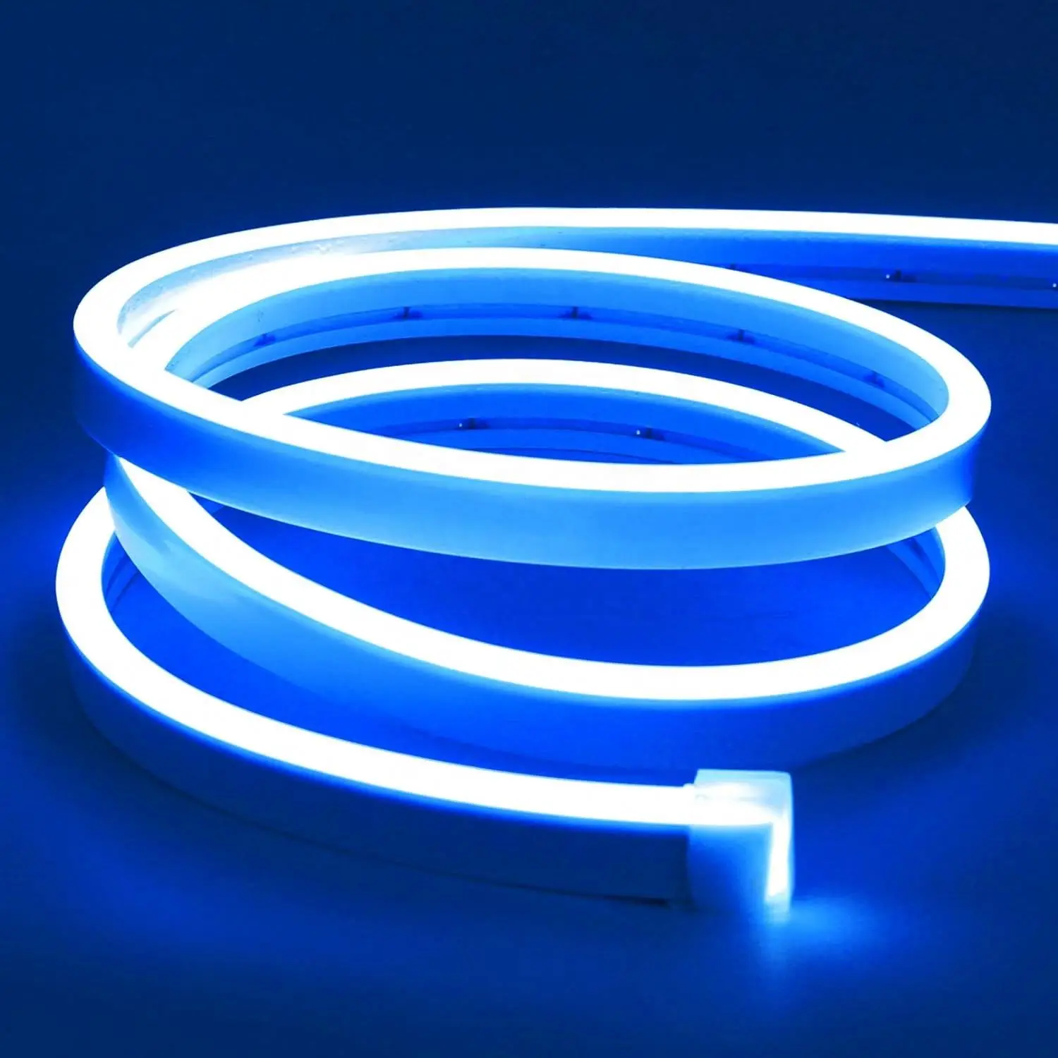 Brand New Product Wholesale Price 5M Led Neon Flex Lights
