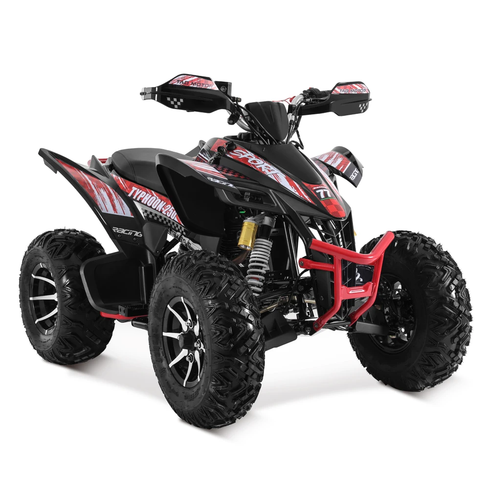 Мотор Tao 2024 Новый ATV 250cc 4x4 cuatrymoto