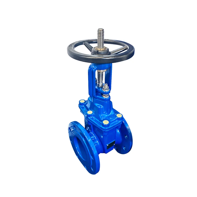 manual flange cast iron resilient seated gate valve