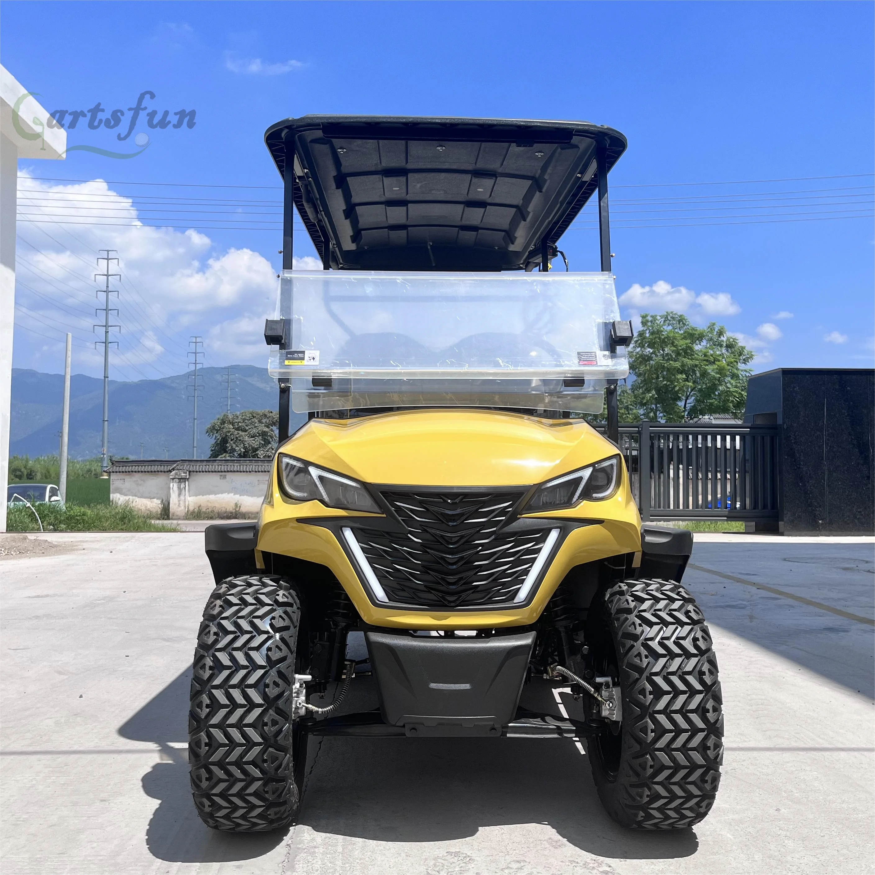 2+2 Seats Gasolined Beach Building Sightseeing Golf Cart For Sale